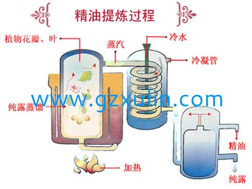 廣州旭林精細(xì)化工有限公司