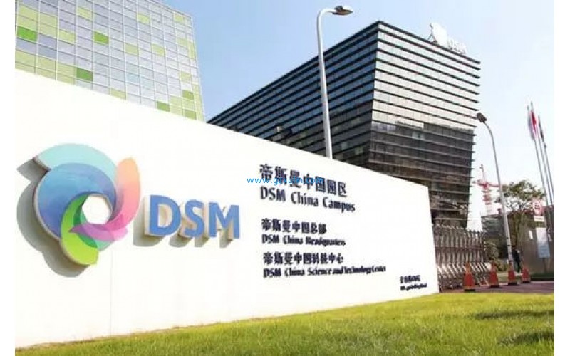 DSM 帝斯曼 全球優(yōu)質(zhì)化妝品防曬原料生產(chǎn)廠家